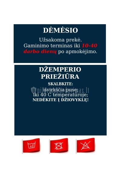 Rokiškio Juozo Tumo-Vaižganto progimnazijos džemperis"All best" su logo