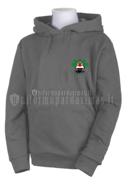 Riešės gimnazijos džemperis "UNICOM" su gobtuvu su logo