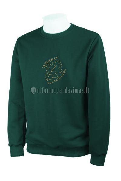 Panevėžio Ąžuolo progimnazijos džemperis "Classic" su logo