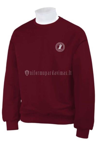 VDU Šakių "Žiburio" gimnazijos džemperis "Classic OVERSIZE" su spauda