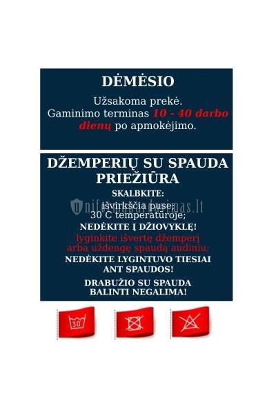 Biržų „Aušros“ pagrindinės mokyklos džemperis "UNICOM" su gobtuvu su spauda
