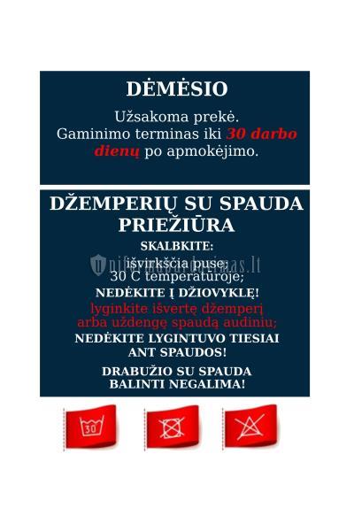 Kaišiadorių Algirdo Brazausko gimnazijos džemperis su spauda "Classsic PILKAS"