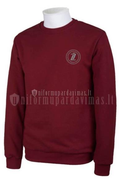VDU Šakių "Žiburio" gimnazijos džemperis "Classic" su logo