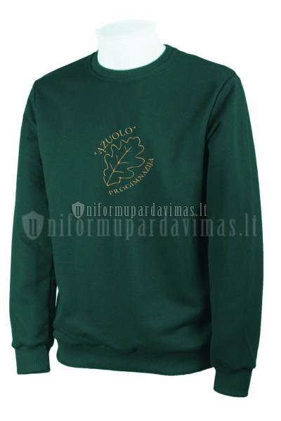 Panevėžio Ąžuolo progimnazijos džemperis "Classic" su logo