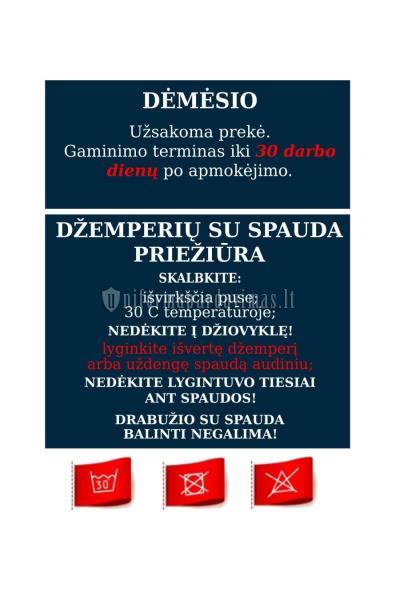 Pavilnio pagrindines mokyklos džemperis "Classic" su logo