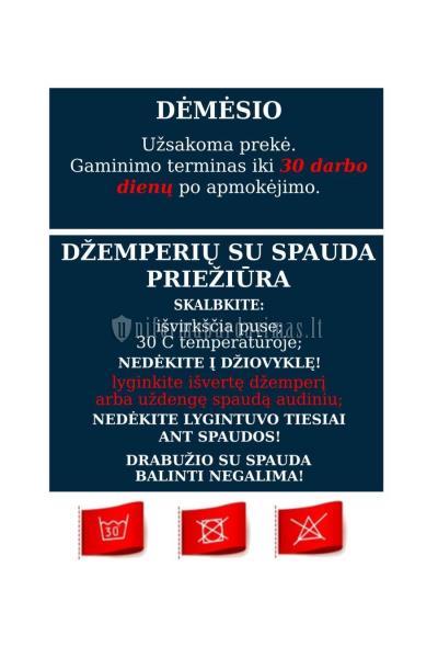 Alytaus Senamiesčio pradinės mokyklos džemperis "Classic" su spauda(kilpinis aud.)