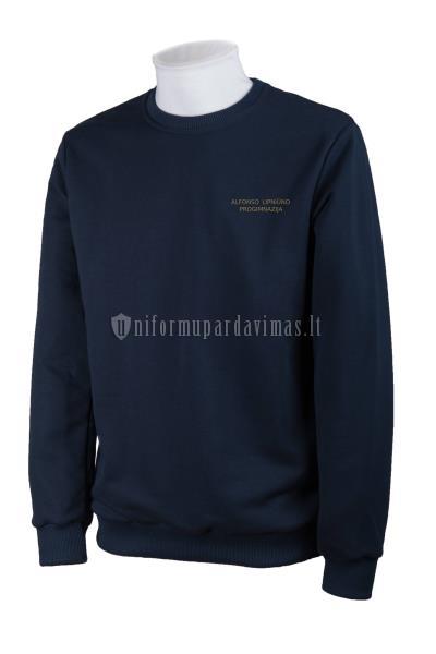 Panevėžio Alfonso Lipniūno progimnazijos džemperis "Classic" su logo