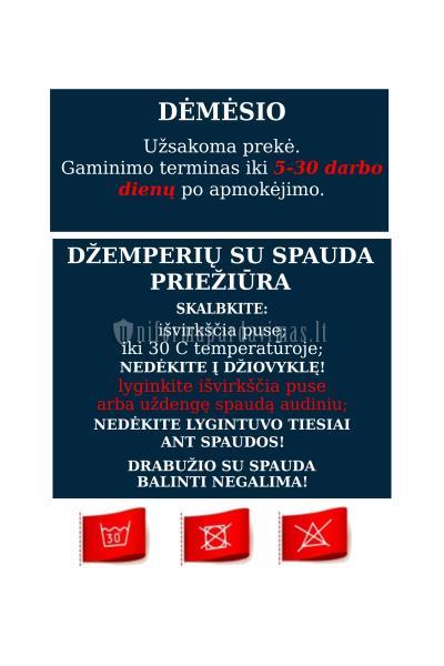 Vilniaus “Spindulio” progimnazijos džemperis "Classic" su logo (spauda)
